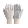 Pred COTTON CHROME gloves Single size -  10 (pr)