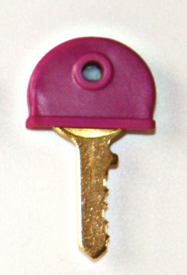 Plastic key cover Purple | Reece Safety
